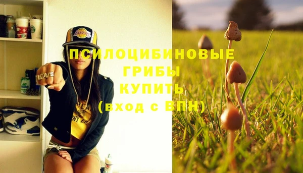 синтетический гашиш Дмитровск