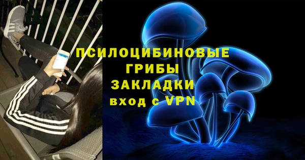 синтетический гашиш Дмитровск