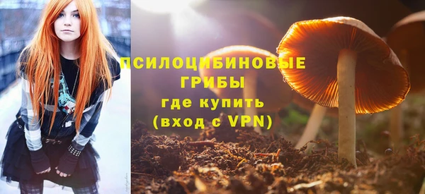 герыч Дмитриев