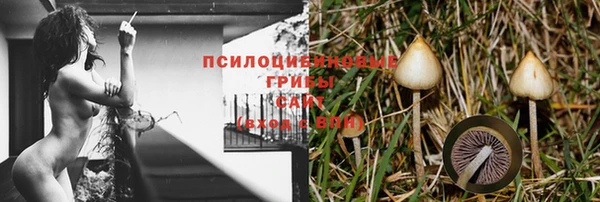 ECSTASY Дмитров
