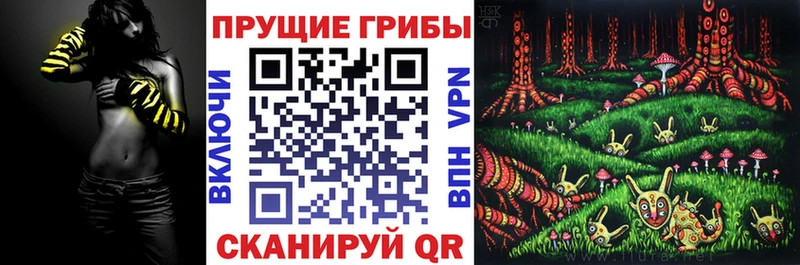 Галлюциногенные грибы GOLDEN TEACHER  где купить наркоту  Братск 